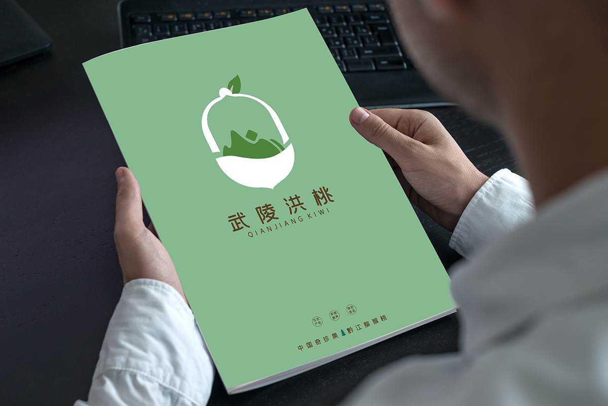 本土特產(chǎn)水果獼猴桃宣傳畫冊